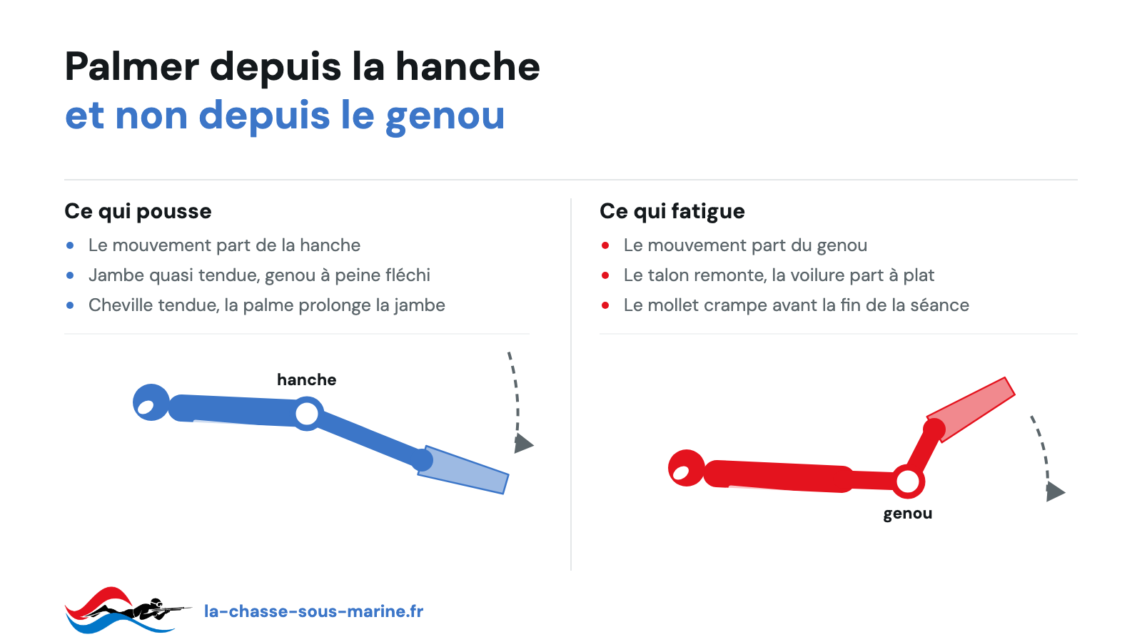 Technique de palmage en chasse sous-marine : le mouvement part de la hanche, jambe tendue, et non du genou